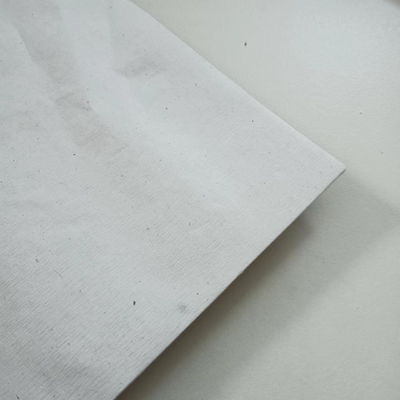 Light Filtering White Pleated Paper Shade Cordless Textile Paper
